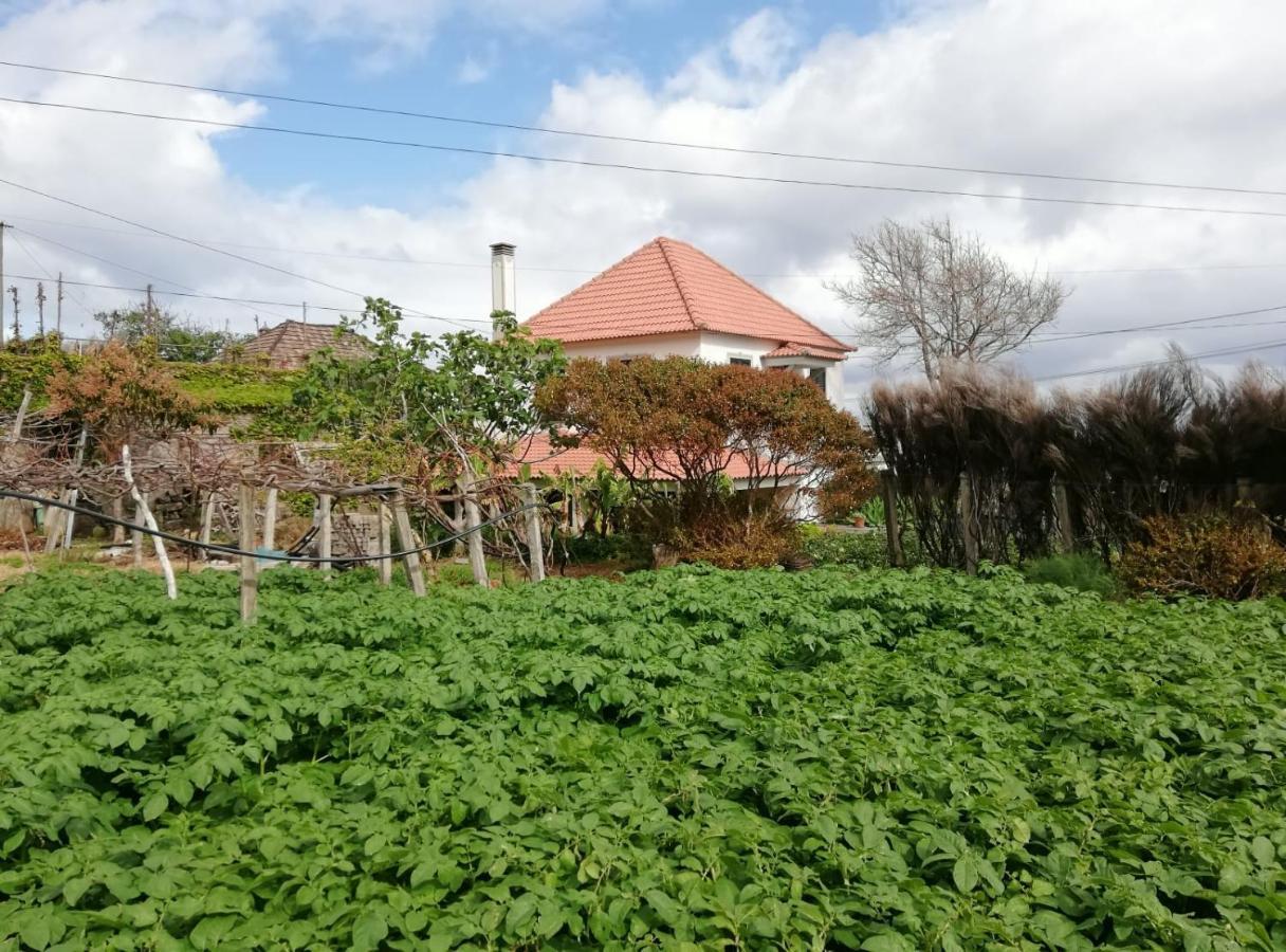 Вилла Avo Lucindinha House - Порту-Мониш Экстерьер фото