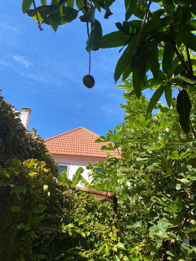 Вилла Avo Lucindinha House - Порту-Мониш Экстерьер фото